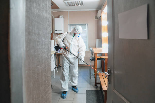 Professional Mold Removal in Pearl River, NY